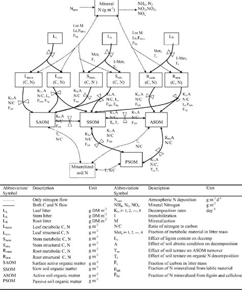 Schematic Diagram Of Nutrient Cycling Module In The Pals Ft Model Download Scientific Diagram