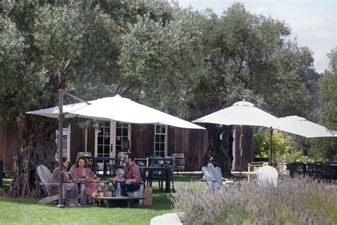 Sonoma County Wineries That Dont Require Reservations