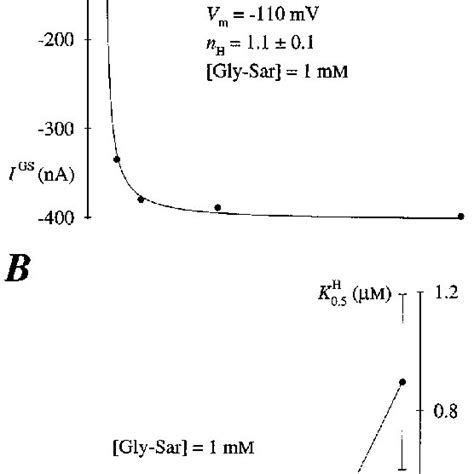 Proton Dependent Activation Of Oligopeptide Transport Via HPEPT1 A