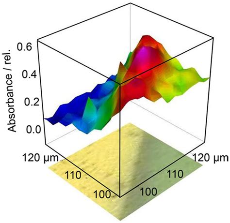 Multiplex Infrared Spectroscopy Imaging For Monitoring Spatially