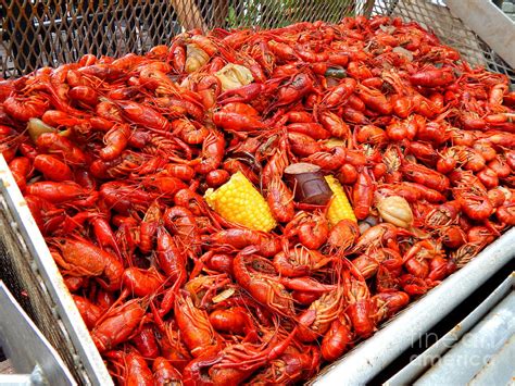 The Crawfish Boil In New Orleans Louisiana Photograph By Michael Hoard