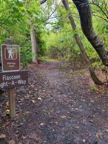 Best Hikes and Trails in Bayou Segnette State Park | AllTrails