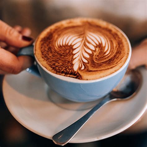 Hot Drinks Coffee Cob Vienna