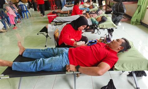 Gandeng Kkss Pt Pamapersada Gelar Aksi Donor Darah Jejak Khatulistiwa