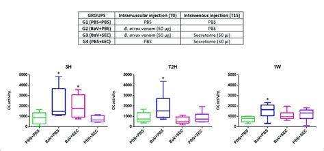 Preliminary Assay Creatine Kinase Levels Of Mice Sera H H And