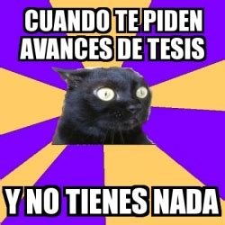 Meme Anxiety Cat Cuando Te Piden Avances De Tesis Y No Tienes Nada