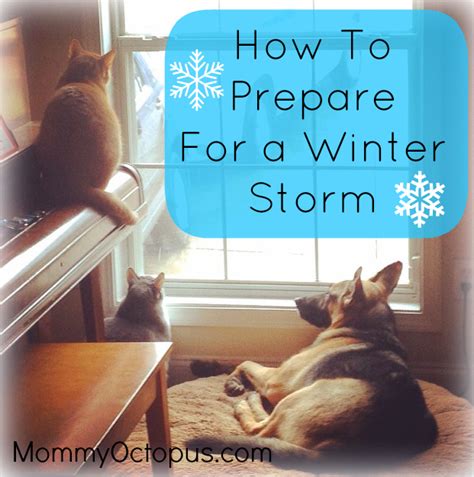 How to Prepare For a Winter Storm - Mommy Octopus