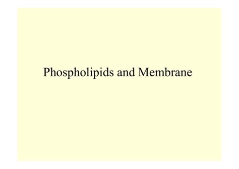 Phospholipids and Membrane