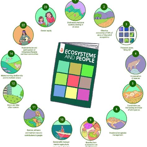 The 23 Targets Of The Kunming Montreal Global Biodiversity Framework