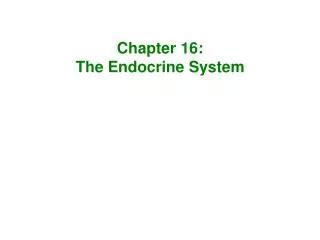 PPT The Endocrine System Chapter 17 Lecture Notes PowerPoint