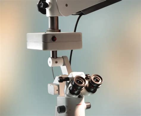 Labomed Microscope Labomed Optical Microscope Latest Price Dealers