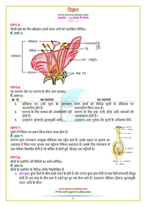 Ncert Solutions For Class 7 Science Chapter 12 Reproduction In Plants