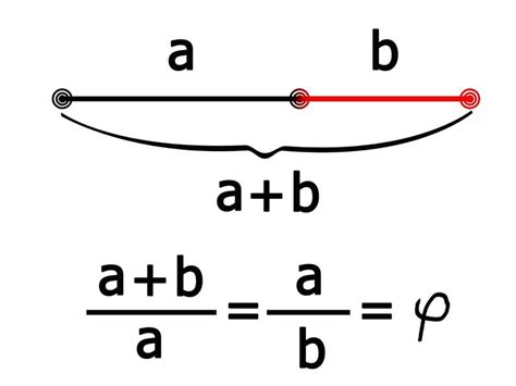 La proporción áurea Qué es la proporción áurea