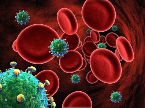 Aids Virus Cell