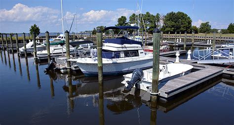 Carolina Beach State Park - CarolinaBeach.com