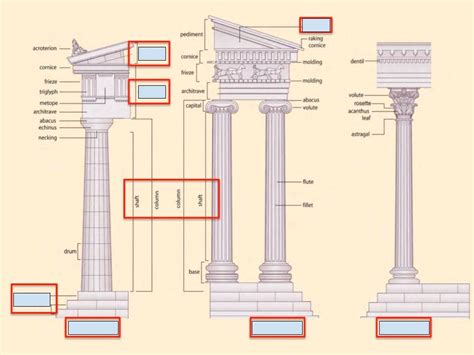 ARCH 210 Ionic Doric And Corinthian Diagram Diagram Quizlet