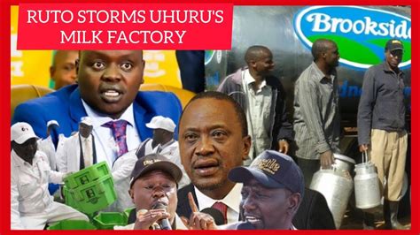 SAD NEWS Ruto S GANG Storms Uhuru S Milk Factory Angry Mama NGINA