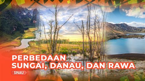 Harus Tahu Perbedaan Sungai Danau Dan Rawa Youtube