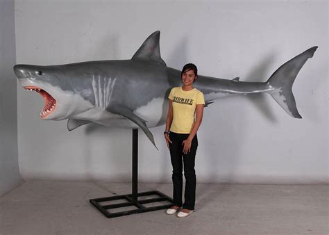 12-Foot Shark Model