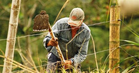 Indonesia Darurat Regenerasi Petani Muda Blog Seputar Pertanian