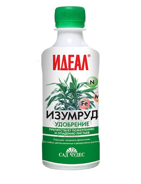 ИДЕАЛ