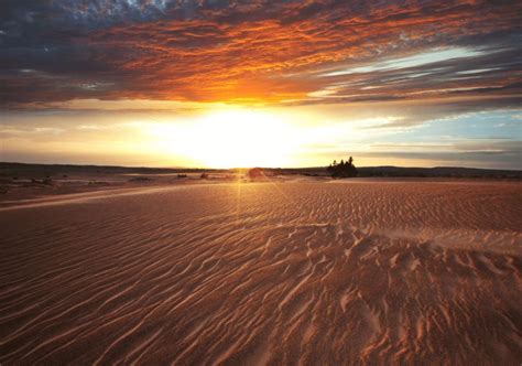 Vanuit Marrakesh Daagse Sahara Woestijntour Getyourguide