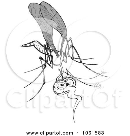 Clipart Mosquito In Black And White - Royalty Free Vector Illustration ...