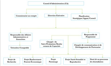 Organigramme ONG C DEV