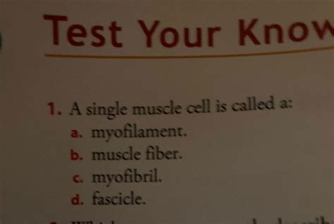 Get Answer Transcribed Image Text Test Your Know 1 A Single Muscle Cell Is Transtutors