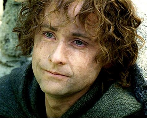 Pippin Took Ruby Baggins Andy Spencer Fanfic Writer Wikia Fandom