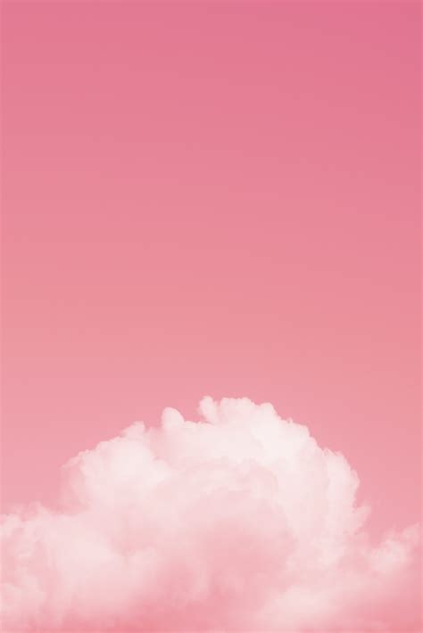 Gambar Wallpaper Warna Pink 58 Koleksi Gambar