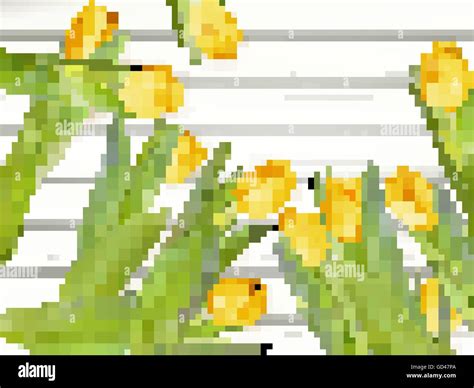 Yellow Tulips Eps Stock Vector Image Art Alamy