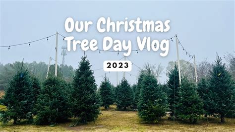 Christmas Tree Day 2023 Decorating Our Christmas Tree Santa And The