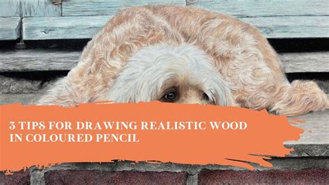 3 Tips for Drawing Realistic Wood in Coloured Pencil | Top Tips