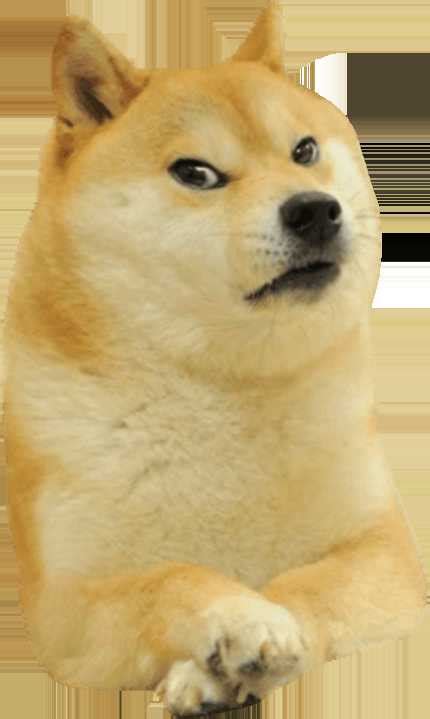 Angry doge Blank Template - Imgflip