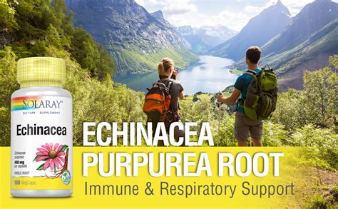 Amazon Solaray Echinacea Root Healthy Immune Function And