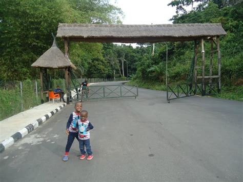 Entrance to Ikogosi Warm Springs - Picture of Ikogosi Warm Springs Resort, Ikogosi - TripAdvisor