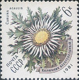 Abristamps Botanical Plant Stamps Znaczki Botanika Ro Liny Flora