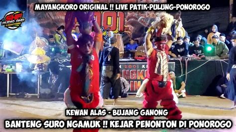 Banteng Suro Ngamuk Penonton Jaranan MAYANGKORO ORIGINAL Live Patik