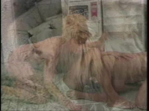 All Girl Pussy Party By FilmCo HotMovies