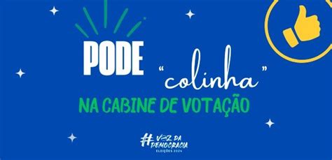 Eleições 2024 Eleitor Pode Levar “colinha” Para A Cabine De Votação