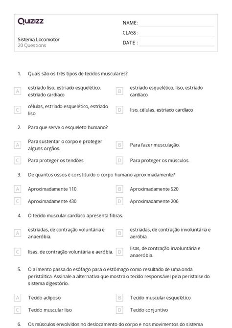 Classificando Formas Imprimível 1ª Série Planilhas Quizizz