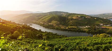 Vall E Du Douro Activit S Estivales Le Meilleur De