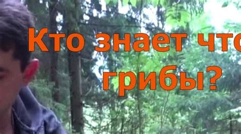 Там Где Ты Есть Наткнулся на полянку Полное видео на канале Дзен