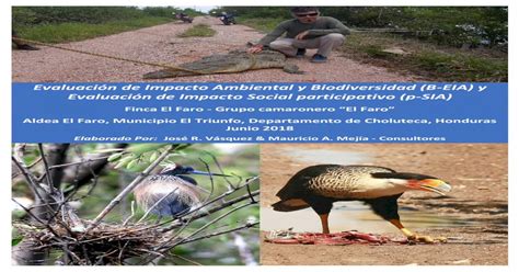 Evaluación De Impacto Ambiental Y Biodiversidad B Eia Y [pdf