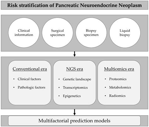 Jcm Free Full Text Risk Stratification Of Pancreatic Neuroendocrine