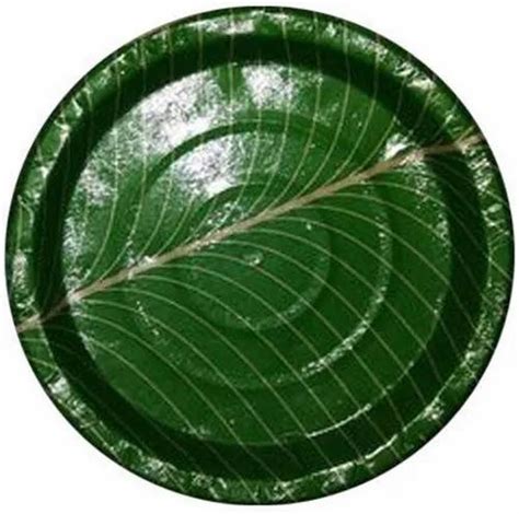 Green Printed Disposable Banana Leaf Paper Plate For Event And Party