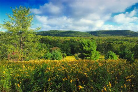 Free Images Landscape Tree Nature Wilderness Trail Meadow