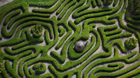 Bing HD Wallpaper Jun 19, 2019: Glendurgan Garden hedge maze is 186 ...