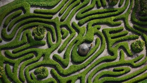 Bing image: Glendurgan Garden hedge maze is 186 years old - Bing Wallpaper Gallery